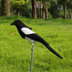 Hunting Bait Flocked Magpie Decoy