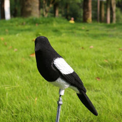 Hunting Bait Flocked Magpie Decoy
