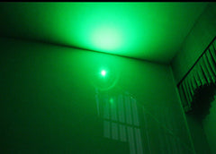 Laser Pen Pointer Hunting